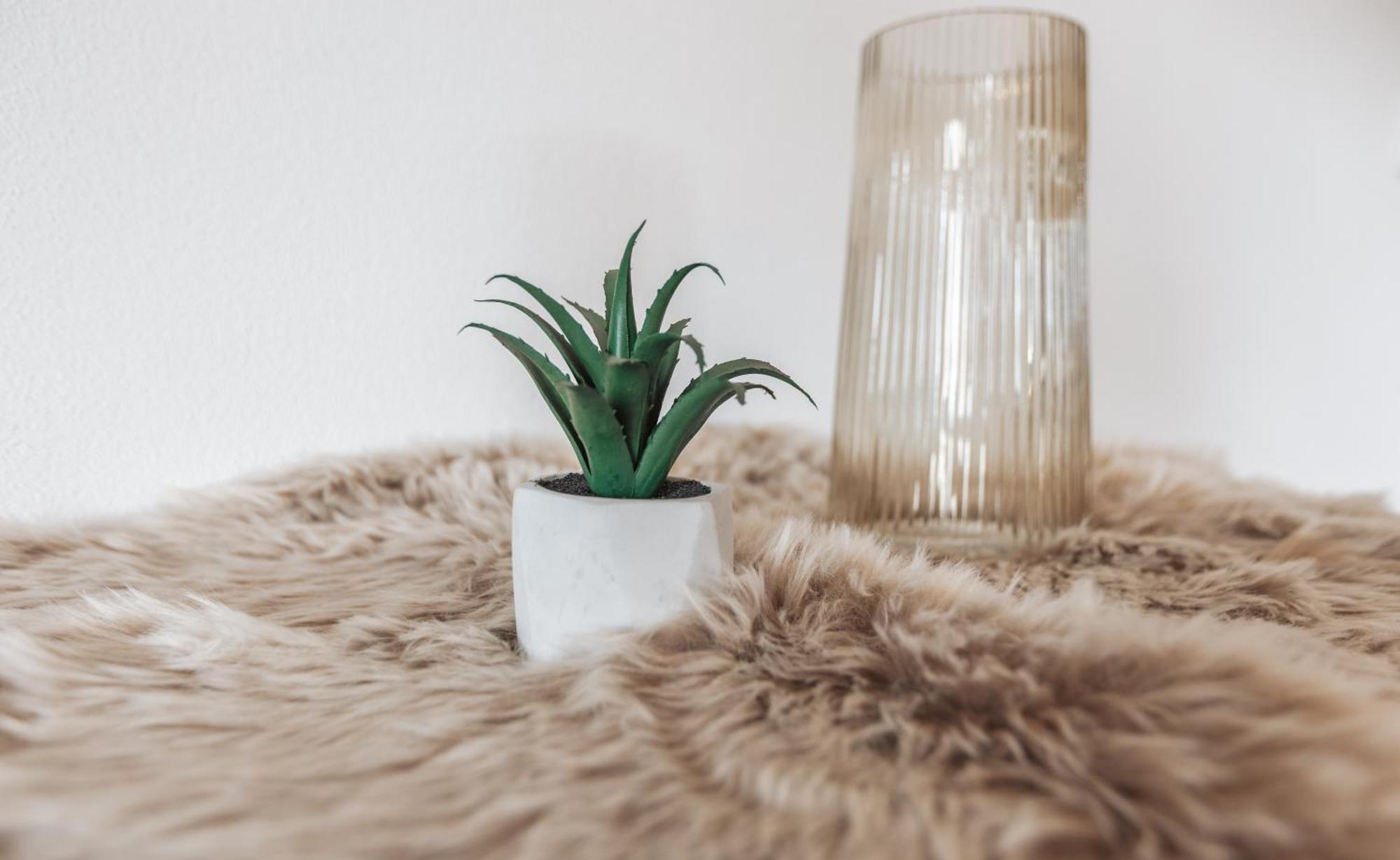 Koenigsblick Poppler Apartment Hopferau Luaran gambar